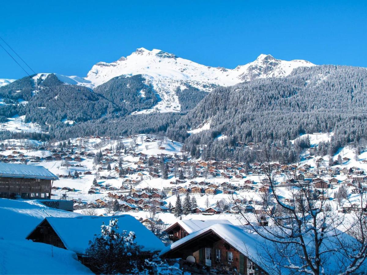 Zur Hoehe By Interhome अपार्टमेंट Grindelwald